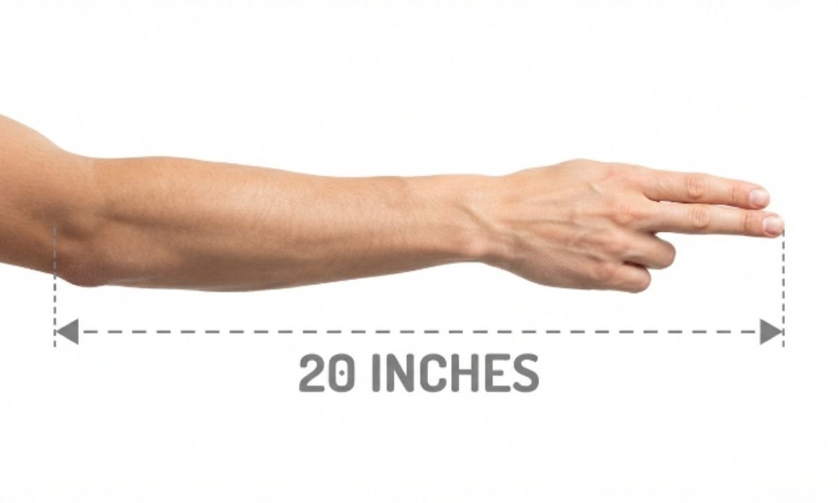 20 Inches Compared to the Human Body