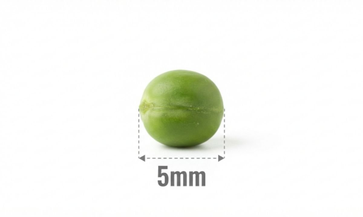 Green Pea Diameter