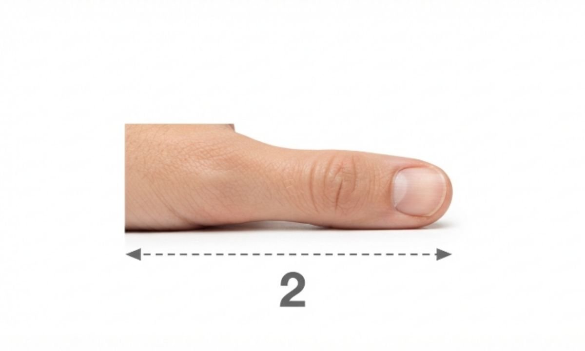 The Length of a Thumb