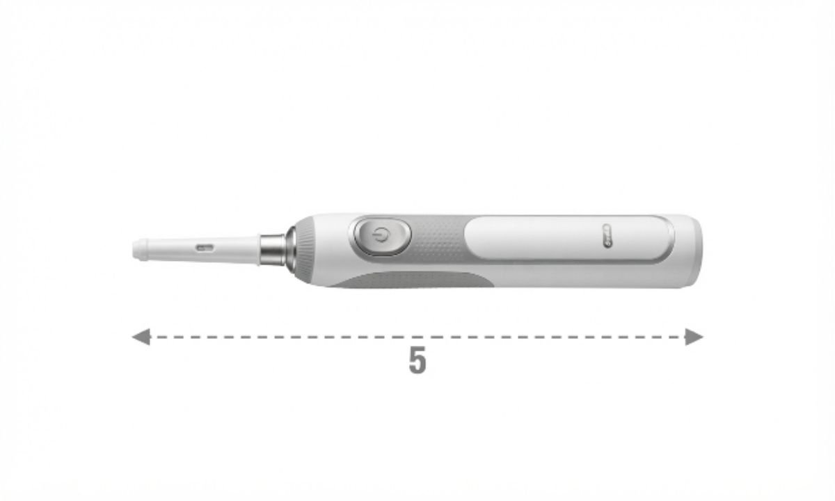 Toothbrush Handle