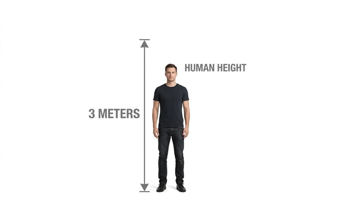 3 Meters Compared to a Human