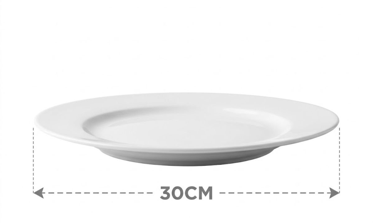 Large Dinner Plate