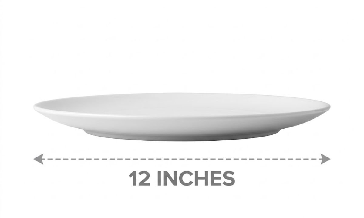 Large Dinner Plate