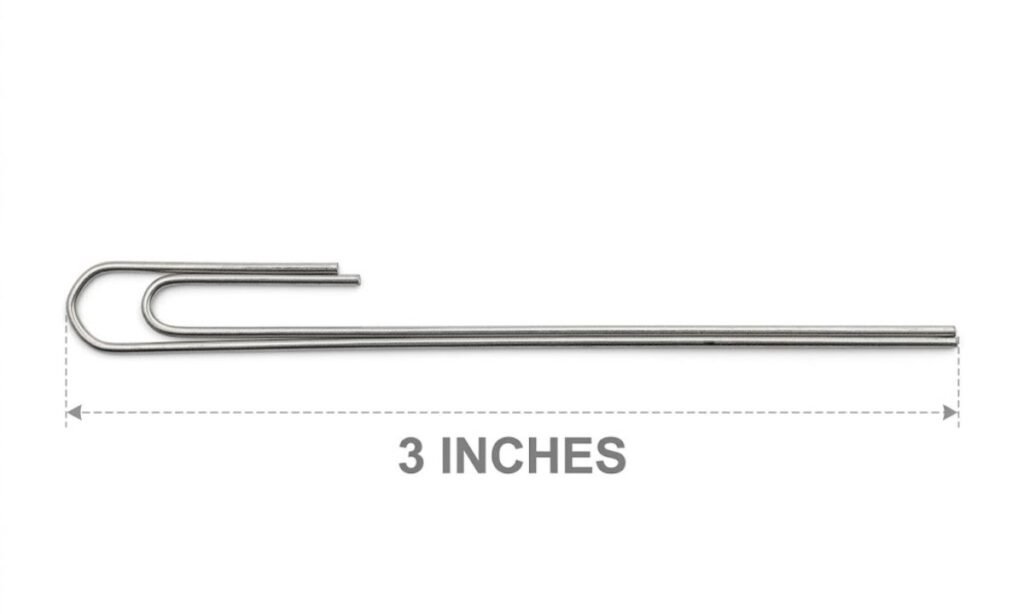 Large Paper Clip