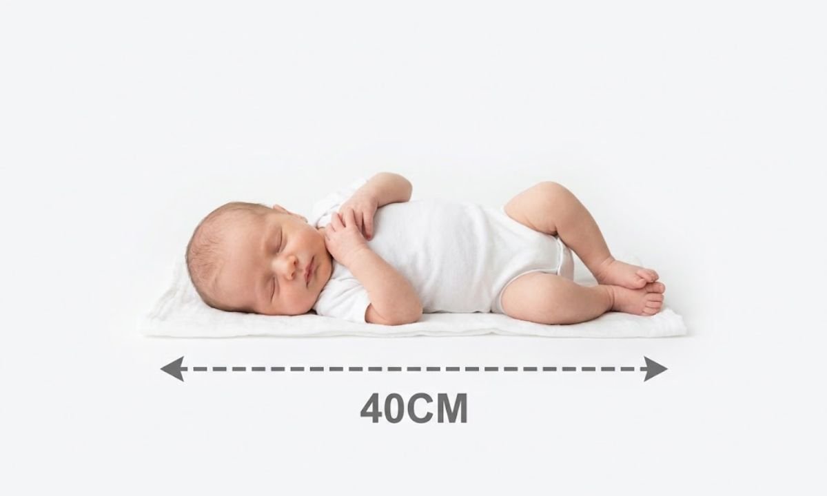 Newborn Baby Length