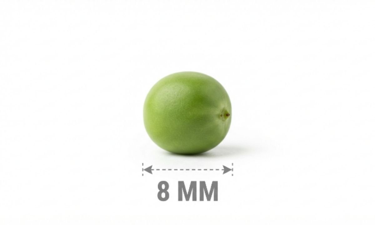 Pea Diameter