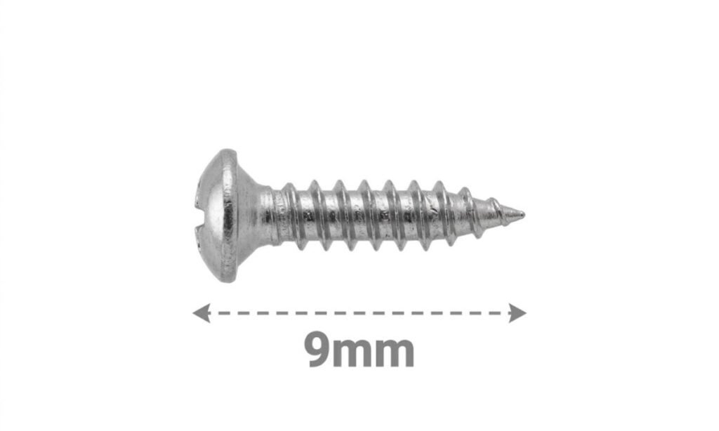 Small Screw Head
