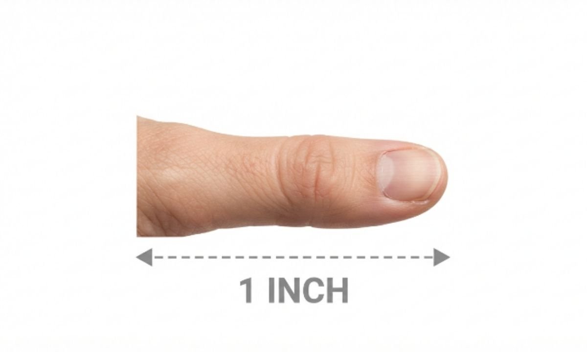 The Length of a Thumb Joint