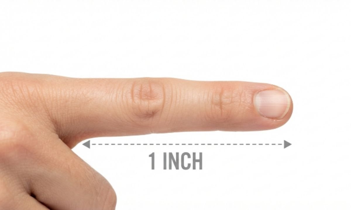 The Width of an Adult Finger