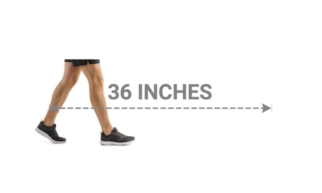 Adult Walking Stride