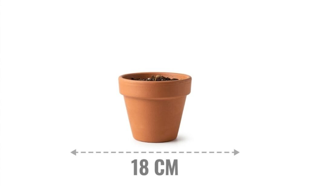 Small Plant Pot Height